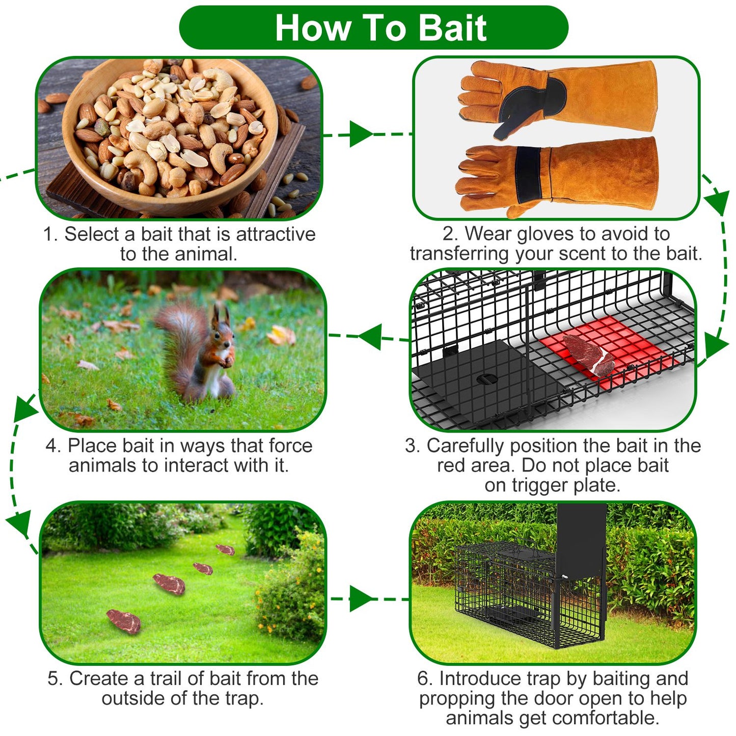 40in Humane Live Animal Trap Cage for Raccoons & Opossums