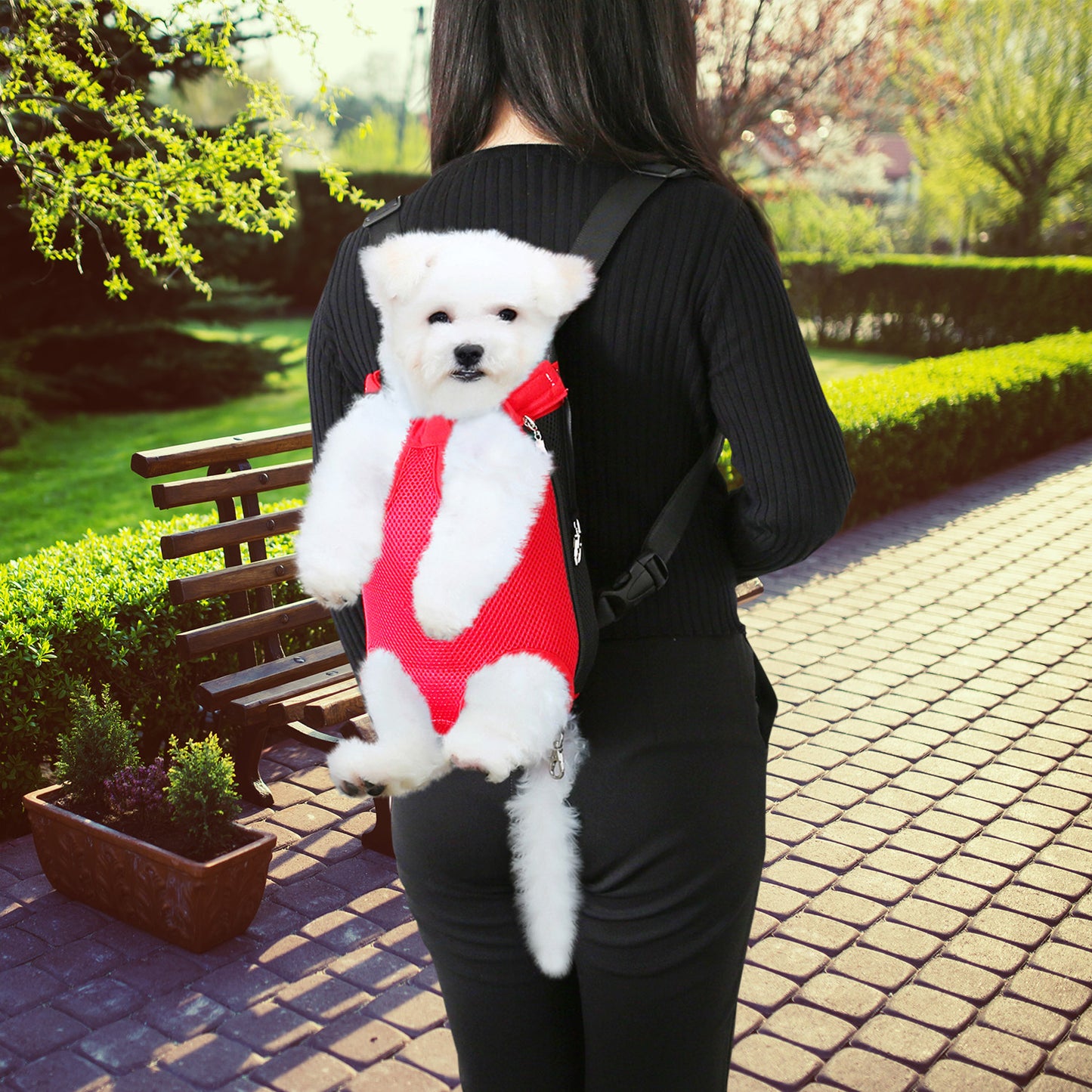 Pet Carrier Backpack Legs Out Front for Dogs & Cats
