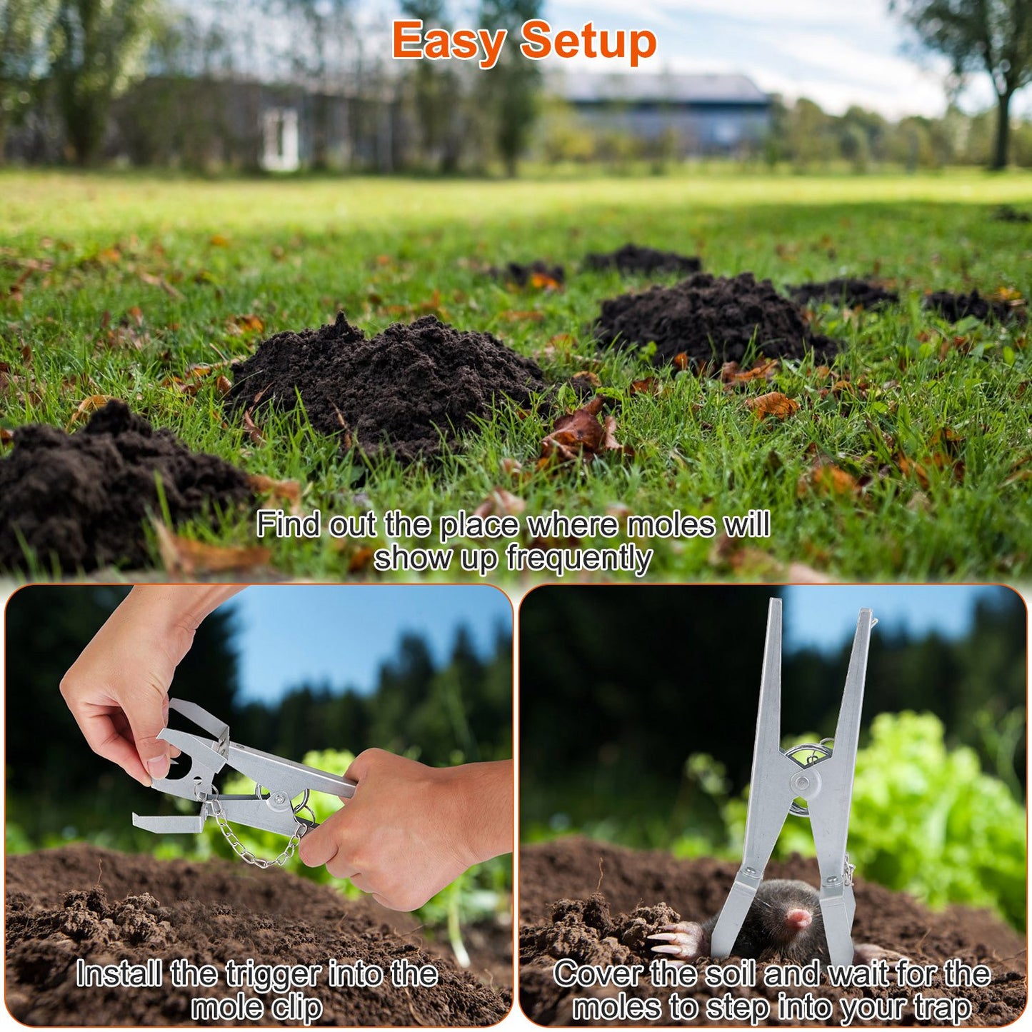 Reusable Mole Traps with Scissor Jaw - 4 Pack