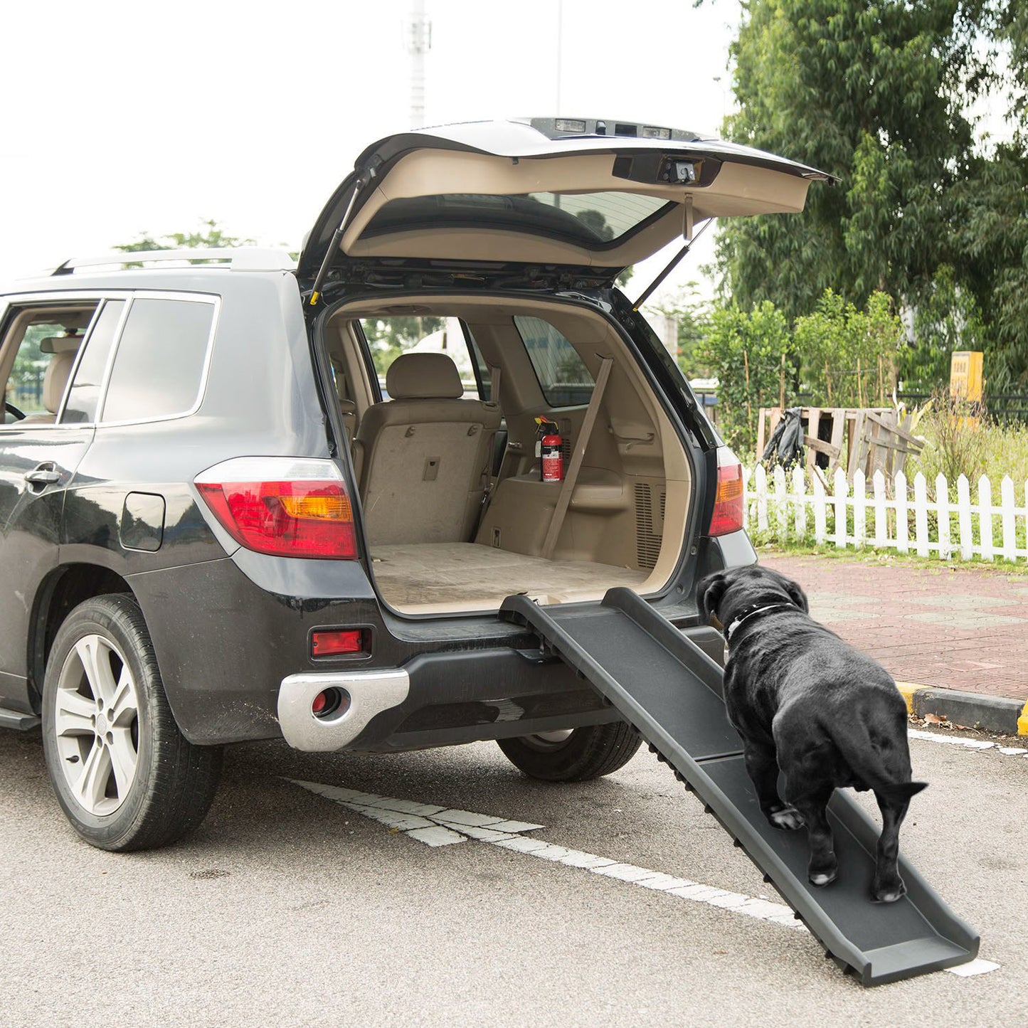 Foldable Dog Ramp for Cars – 176 lbs Capacity, Non-Slip Surface
