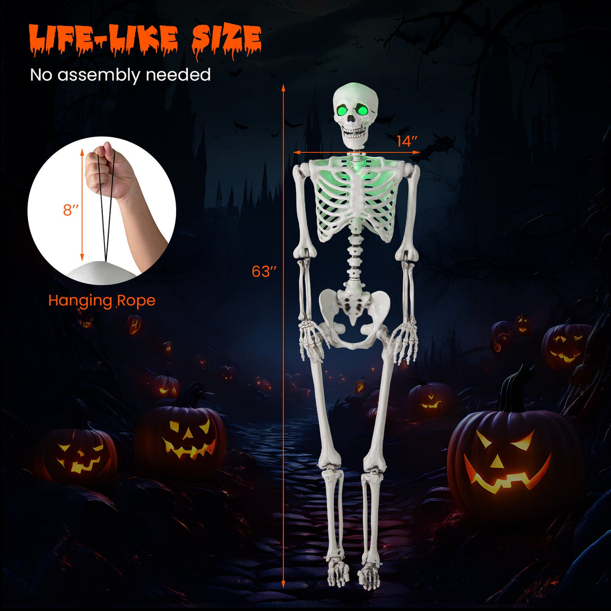 5.5 FT Halloween Skeleton Life-Size Posable for Indoor Outdoor Decoration