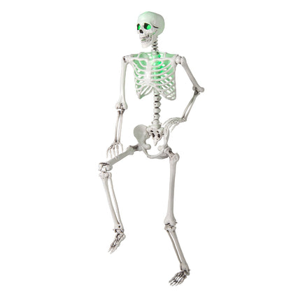 5.5 FT Halloween Skeleton Life-Size Posable for Indoor Outdoor Decoration