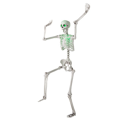 5.5 FT Halloween Skeleton Life-Size Posable for Indoor Outdoor Decoration