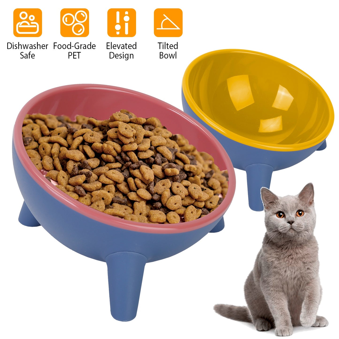 Elevated Tilted Cat Food Bowl with Backflow Prevention