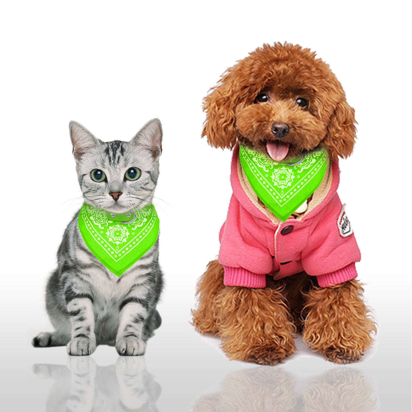Dog Bandana Collar with Adjustable Leather Strap