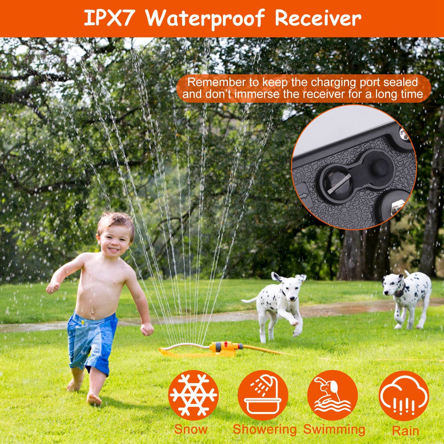 Underground Dog Fence System with Rechargeable Receiver
