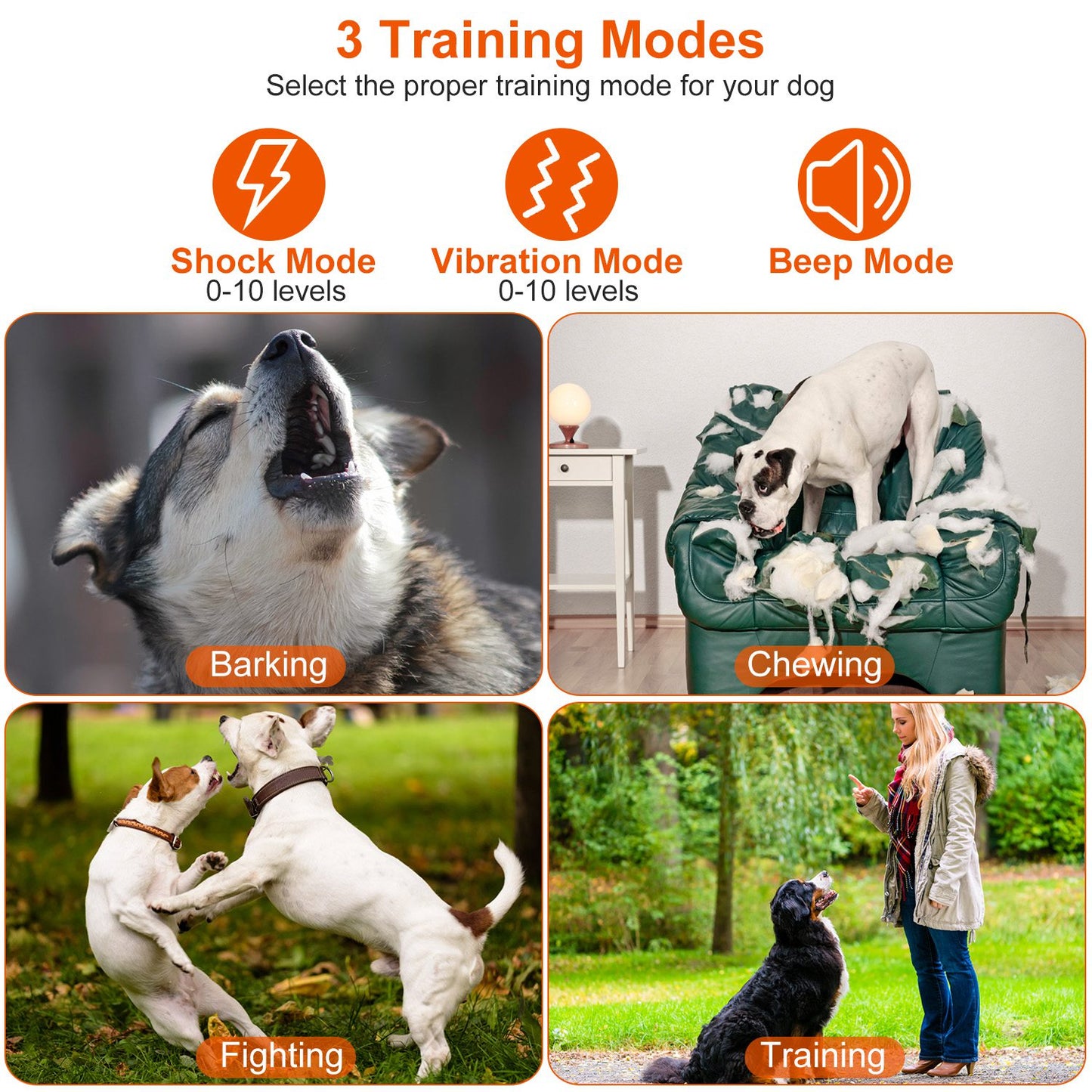 Dog Training Collar with Remote – Waterproof Rechargeable