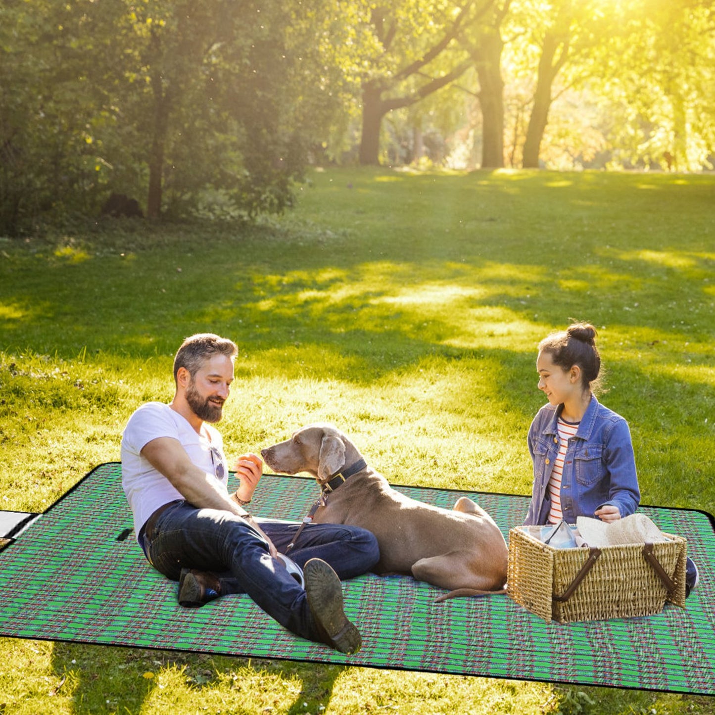 Waterproof Picnic Blanket 60x78 with Carrying Strap