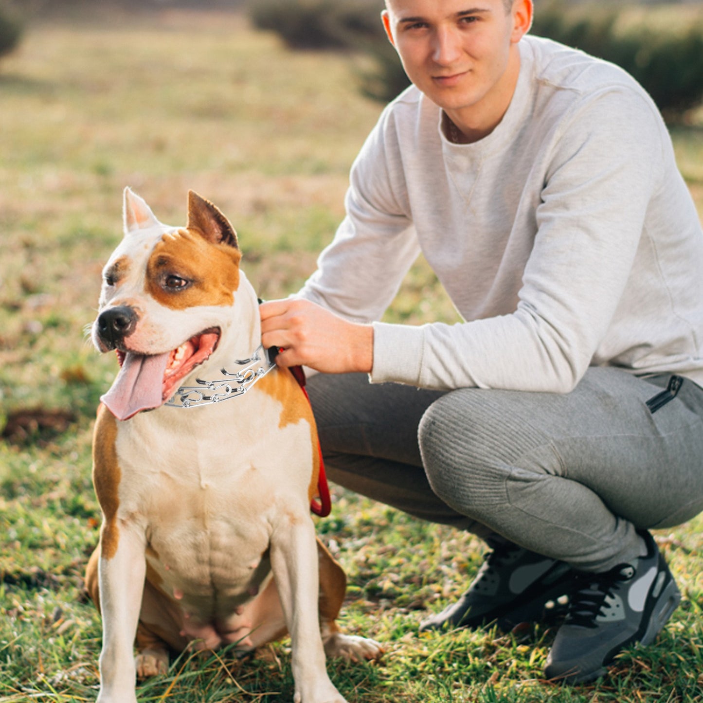Dog Training Collar with Prong Chain and Quick-Release Buckle
