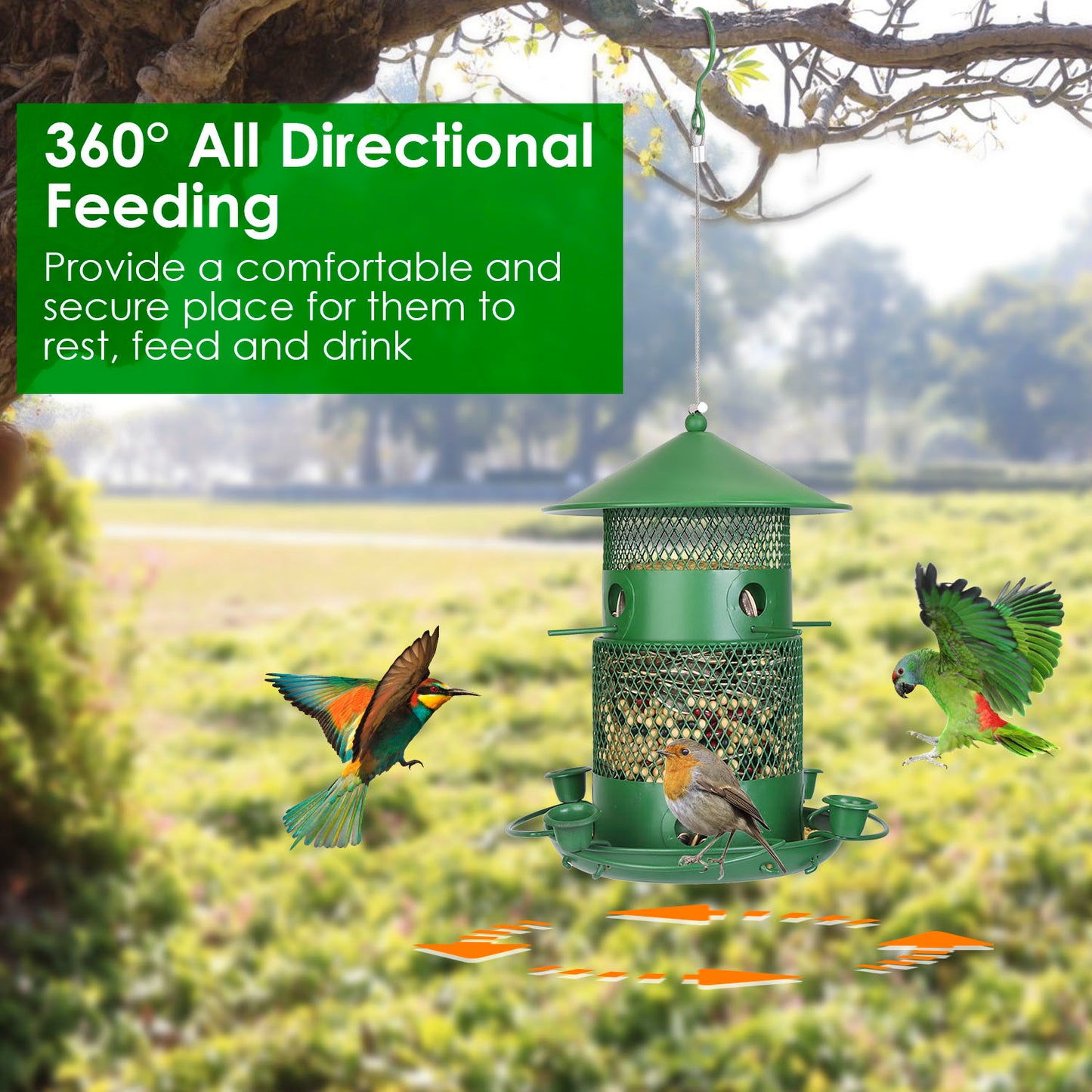 Squirrel-Proof Metal Bird Feeder with Water Cups & Perches