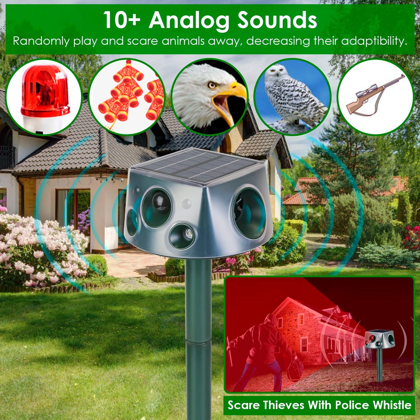 Solar Ultrasonic Animal Repeller with Motion Sensor