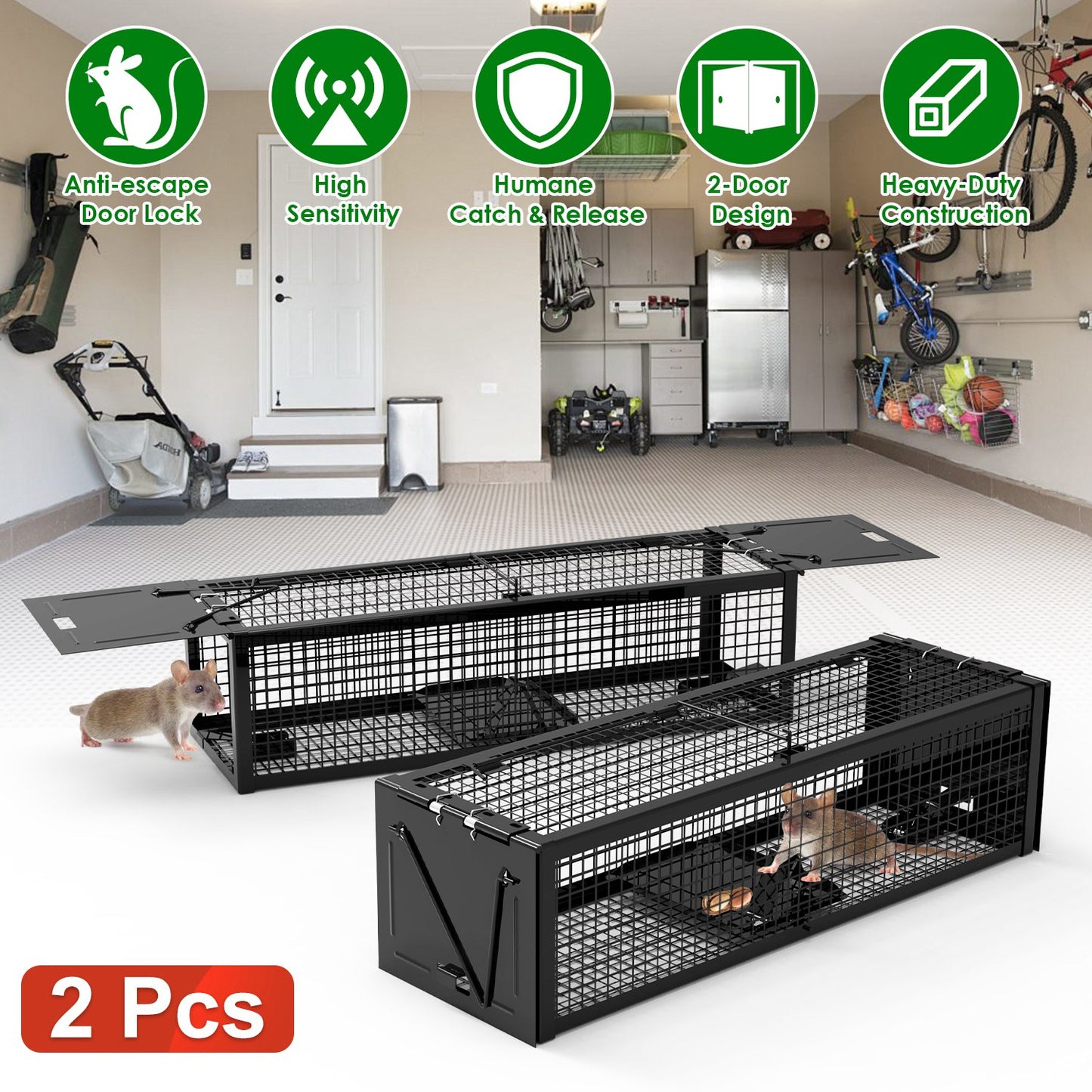Humane Live Rat Trap 2-Pack - Dual Door Galvanized Cage