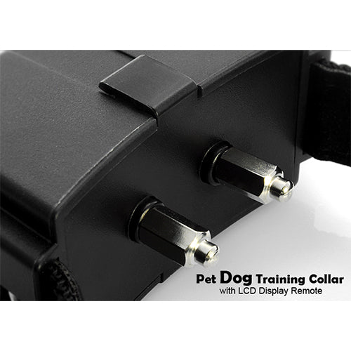 Dog Training Collar with Remote – 300M Range