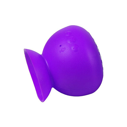 Waterproof Wireless Speaker with Suction Cup