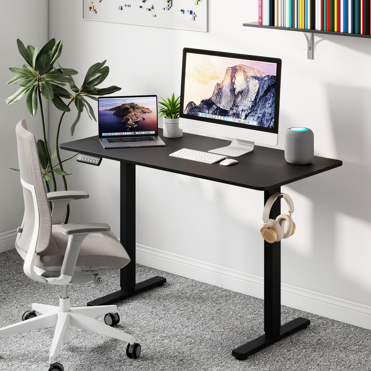 48 Inch x 24 Inch Ergonomic Electric Standing Desk with 3 Memory Settings for Home Office
