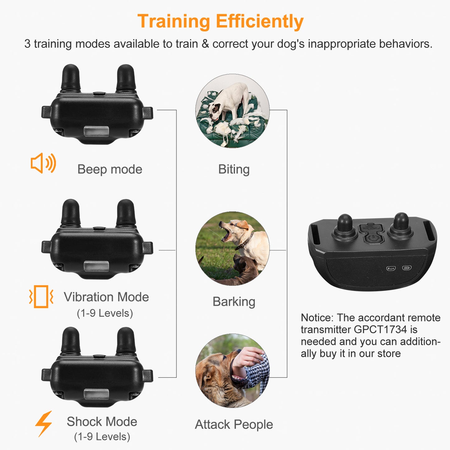 Dog Training Collar Receiver with 9 Levels & IP67 Waterproof