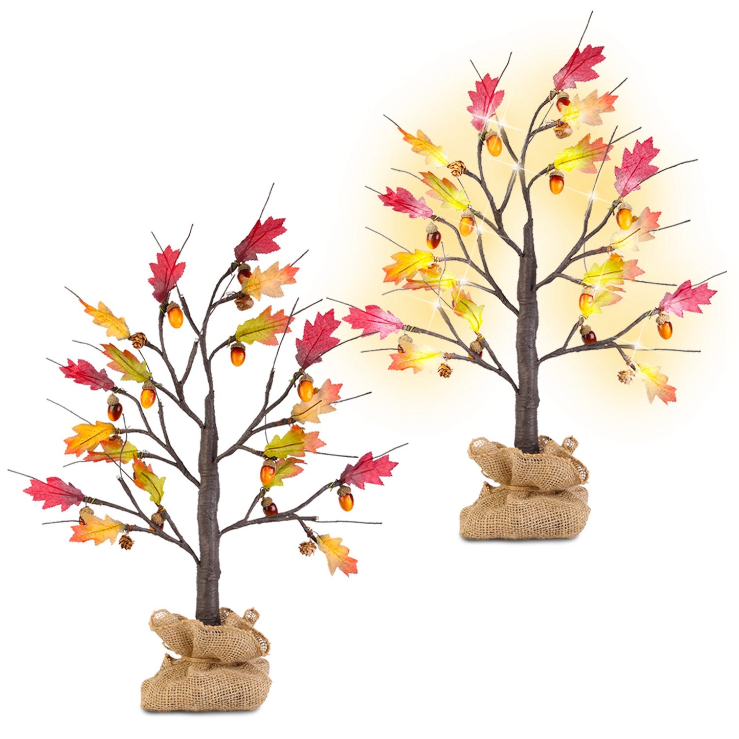 Lighted Maple Tree with 24 LED Beads & Timer (2-Pack)