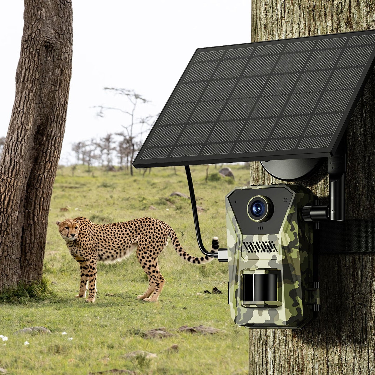4K Solar Trail Camera with 4G Connectivity & Night Vision