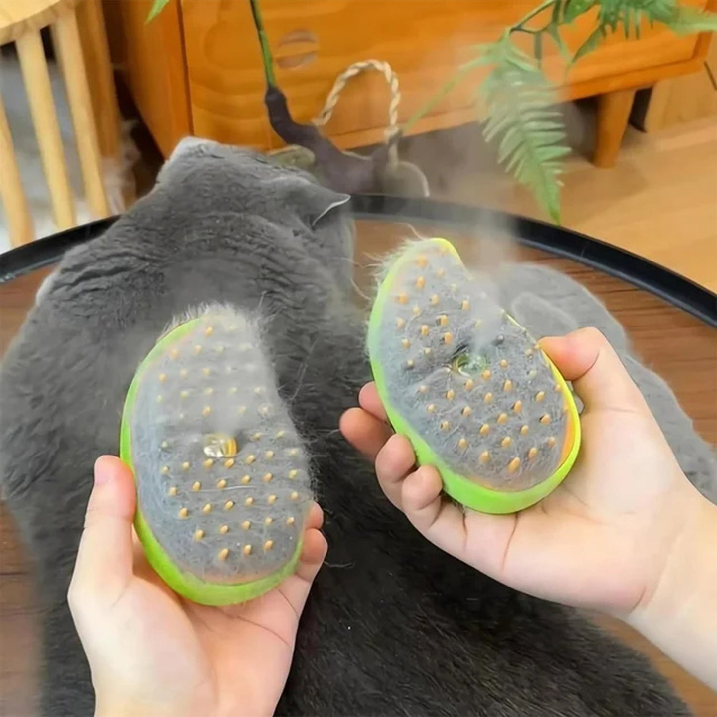 Cat Grooming Steam Brush with USB Rechargeable Battery