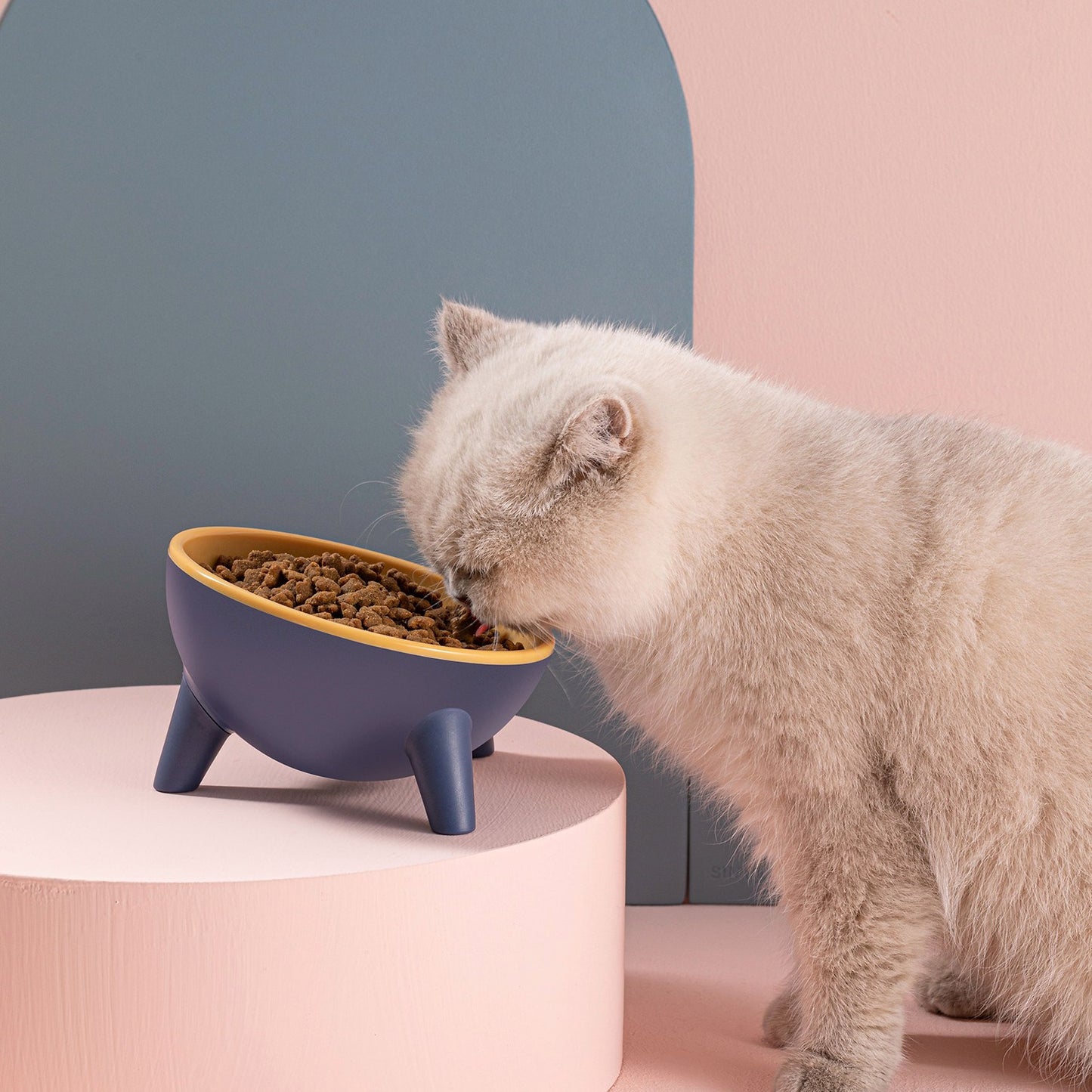 Elevated Tilted Cat Food Bowl with Backflow Prevention