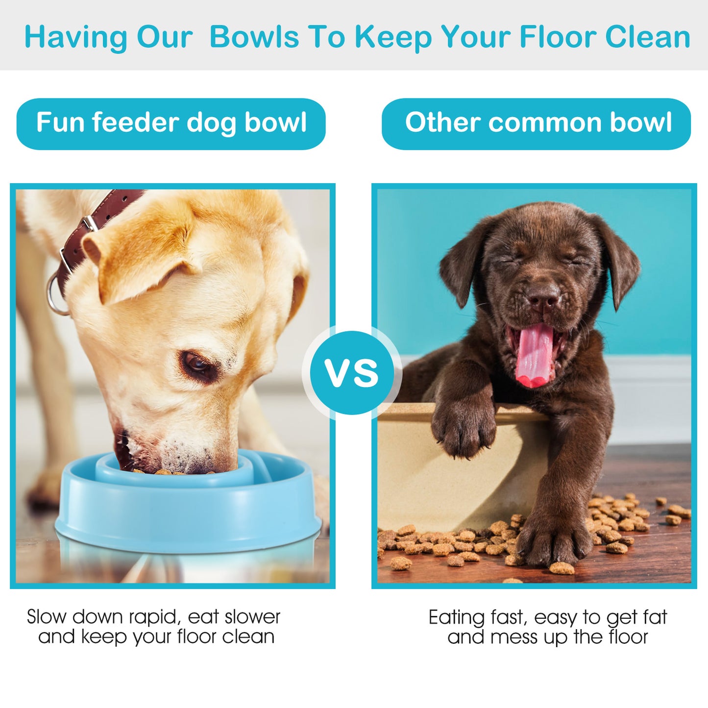 Slow Feeder Dog Bowl with Maze Design for Small & Medium Dogs
