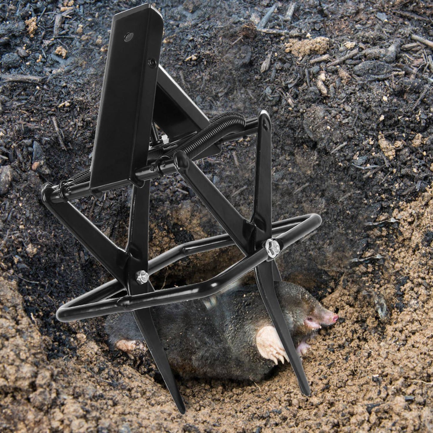 Mole Scissor Trap Set - 2 Pack Reusable Metal Outdoor Traps