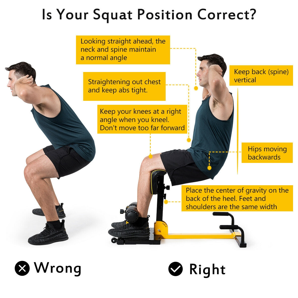 8-in-1 Multifunctional Sissy Squat Bench with Adjustable Height