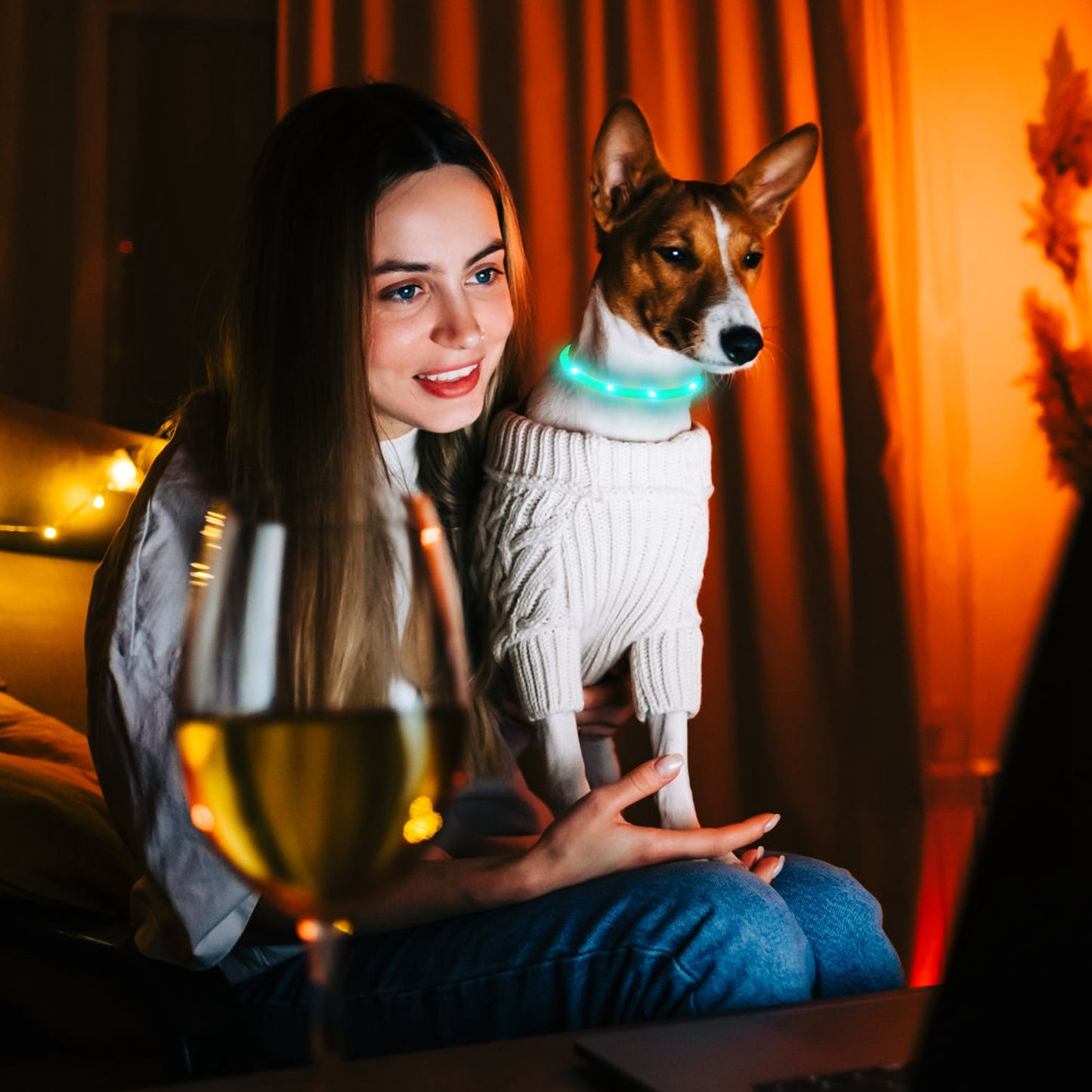LED Dog Collar USB Rechargeable Multi-Color Safety Light