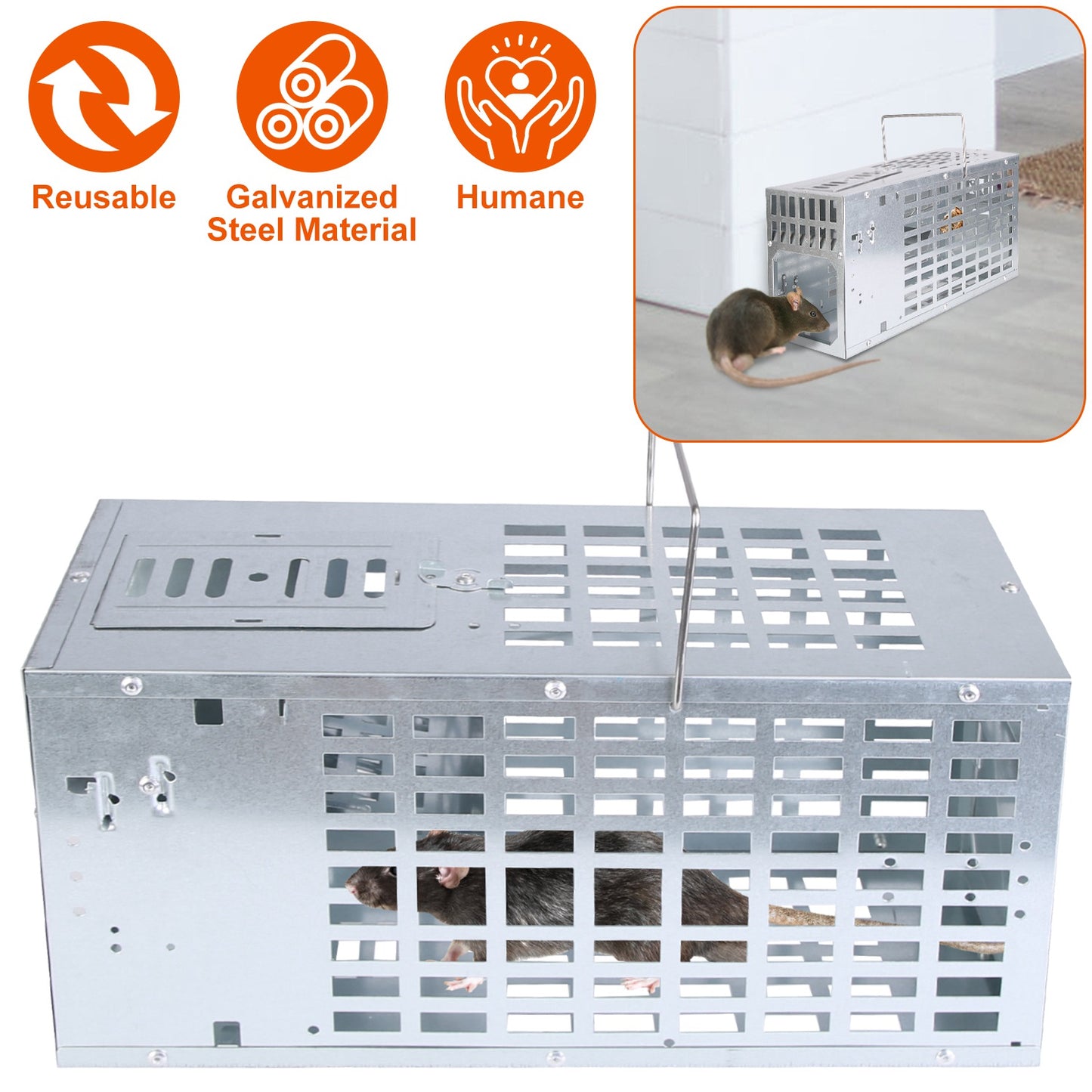 Humane Live Mouse Trap - Reusable Metal Cage with Dual Doors