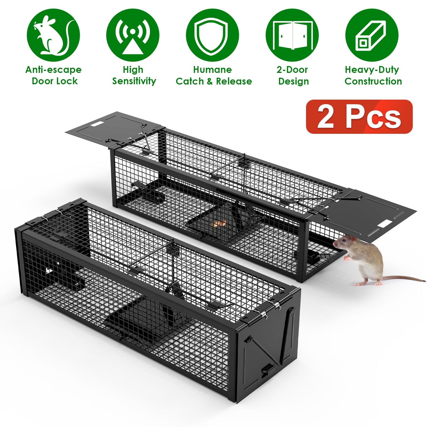 Humane Live Rat Trap 2-Pack - Dual Door Galvanized Cage