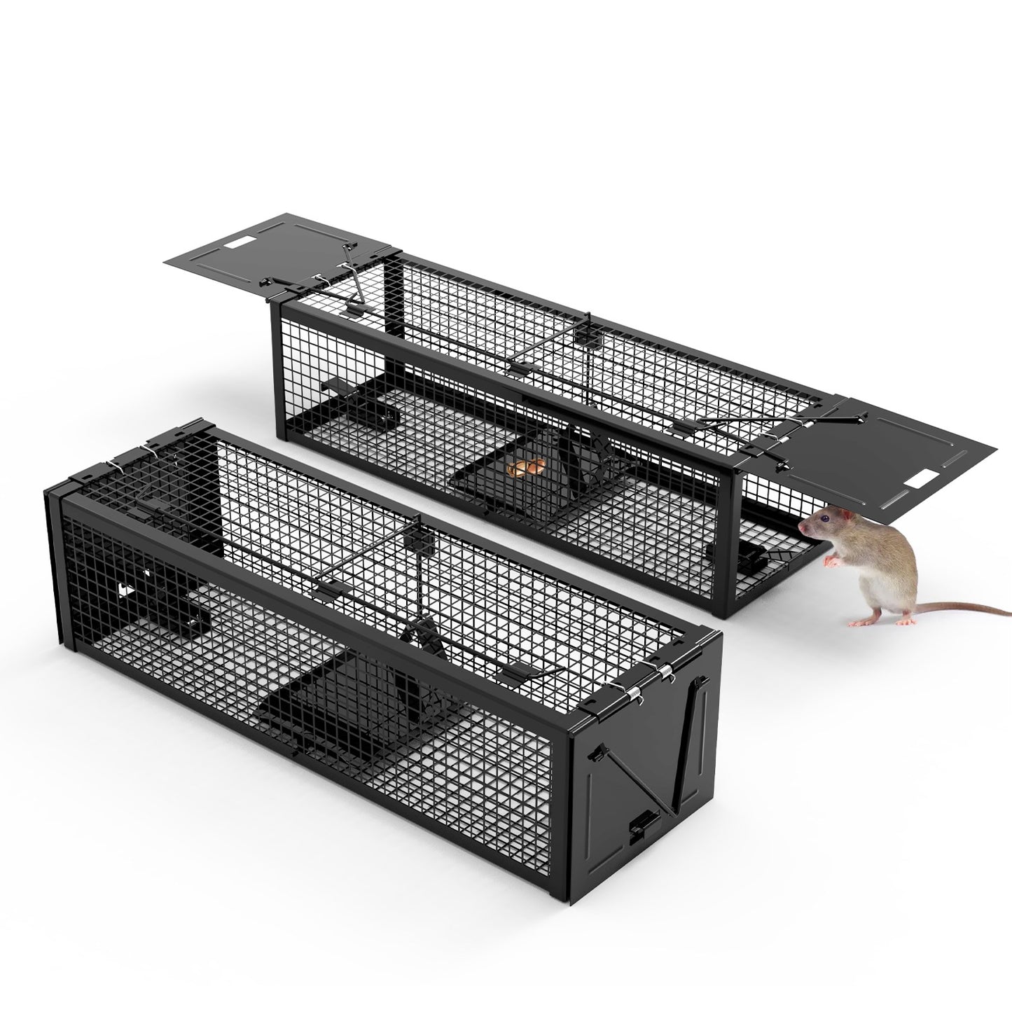 Humane Live Rat Trap 2-Pack - Dual Door Galvanized Cage
