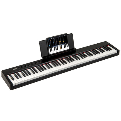 88 Keys Velocity-Sensitive Piano Keyboard with French DREAM Audio Source-Black