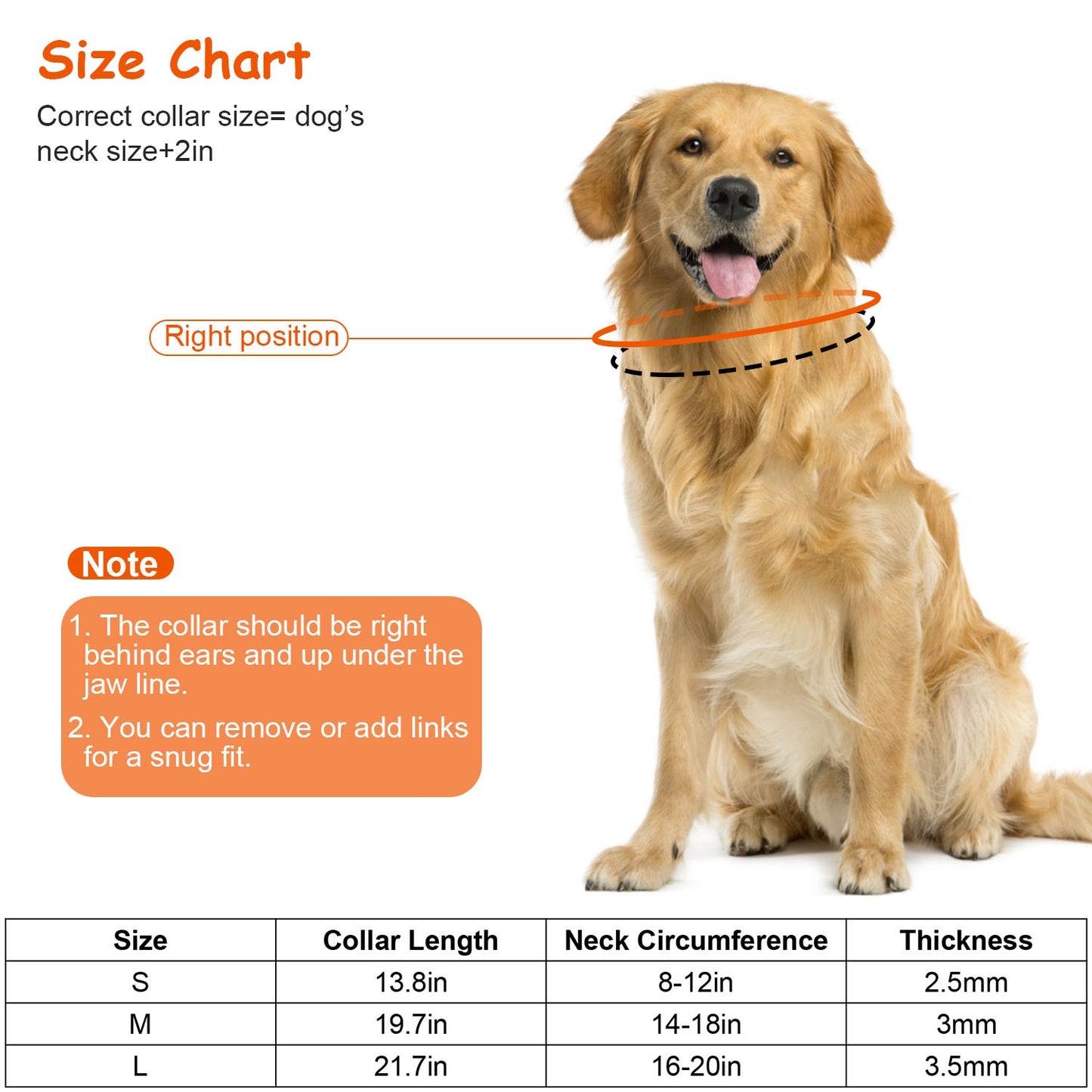 Dog Training Collar with Prong Chain and Quick-Release Buckle
