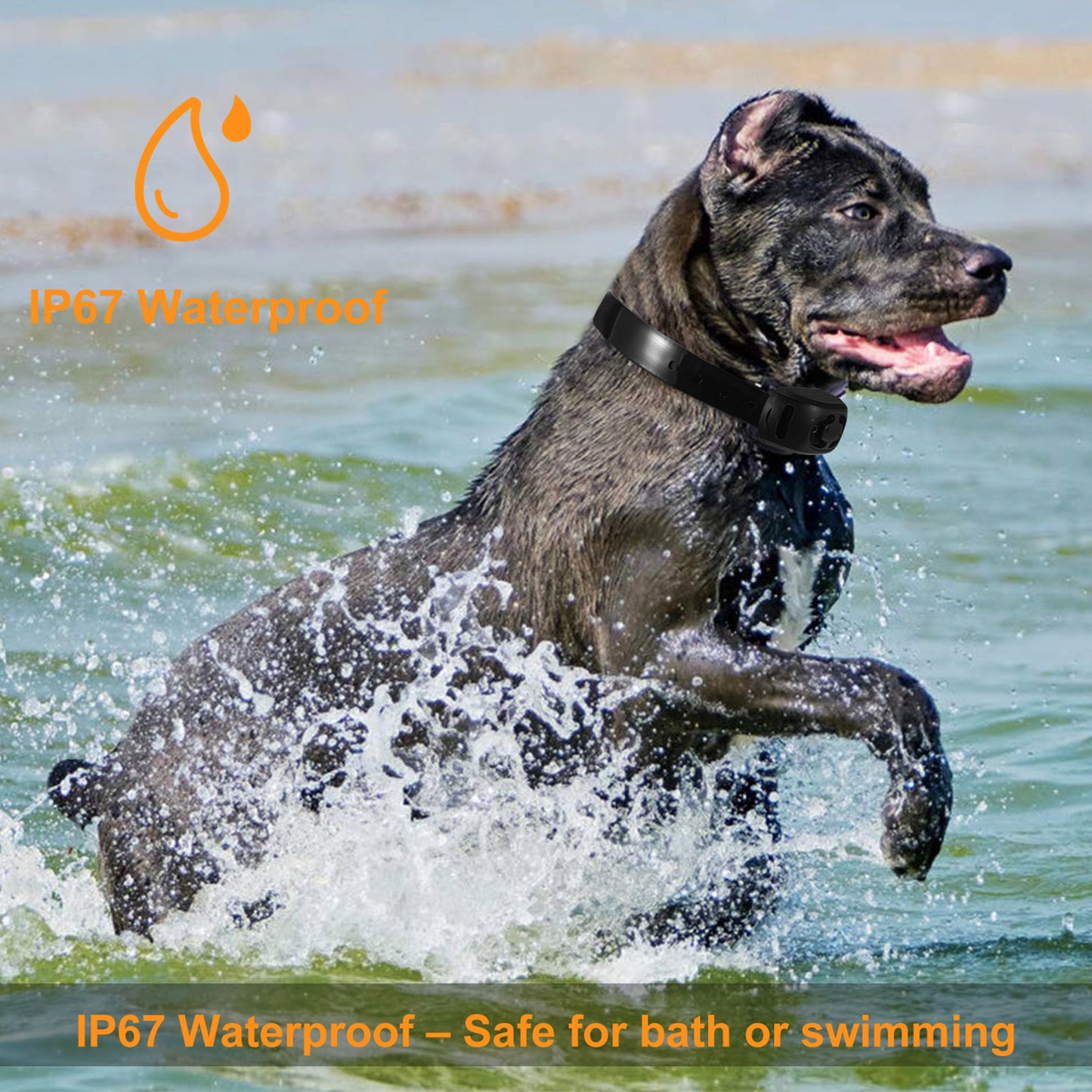 Dog Training Collar Receiver with 9 Levels & IP67 Waterproof