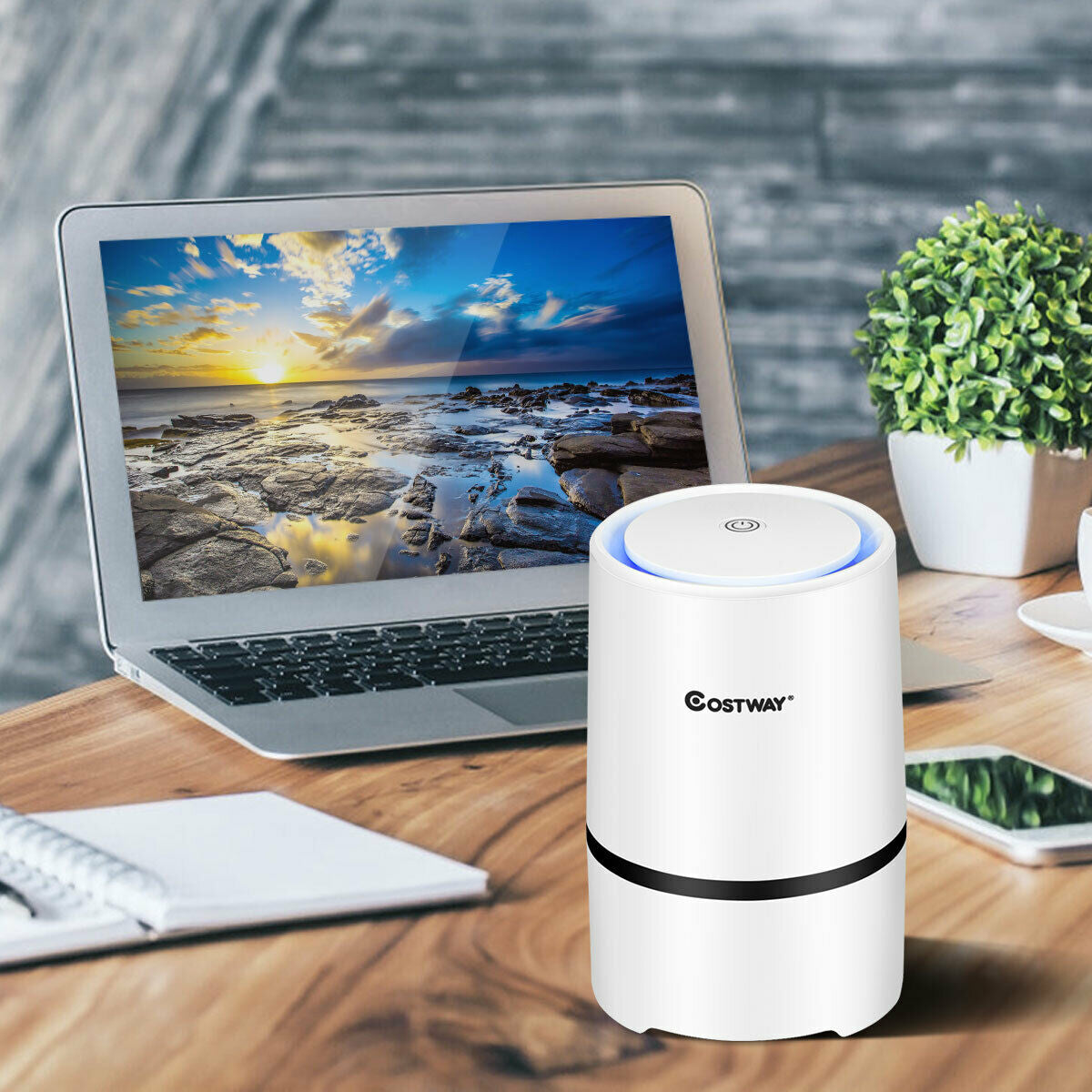 Mini Ionic 3-in-1 Composite HEPA Air Purifier