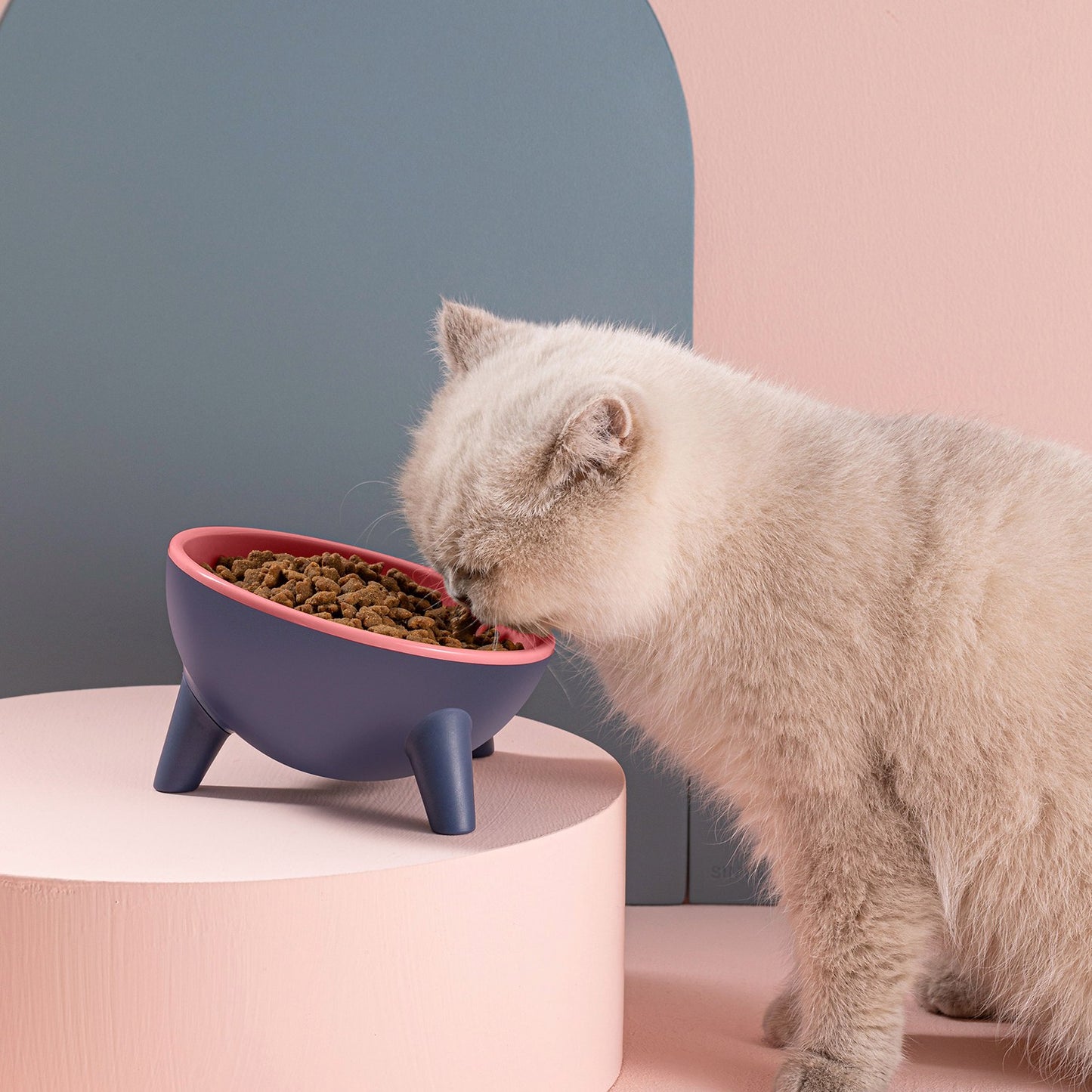 Elevated Tilted Cat Food Bowl with Backflow Prevention