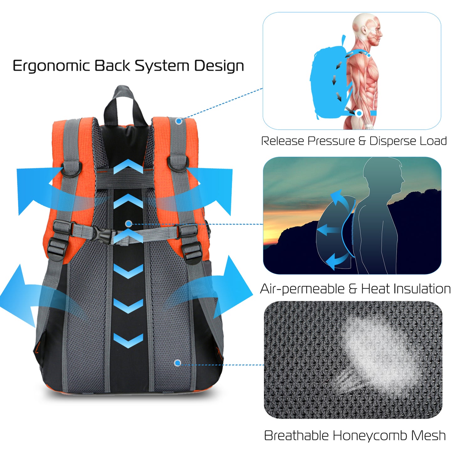 36L Waterproof Hiking Backpack with Ergonomic Design