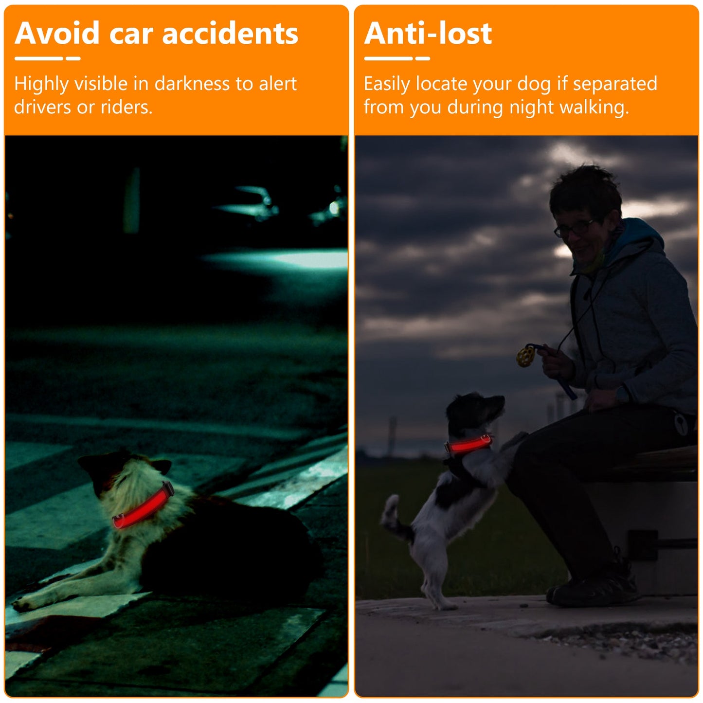 LED Dog Collar USB Rechargeable with Night Safety Lights