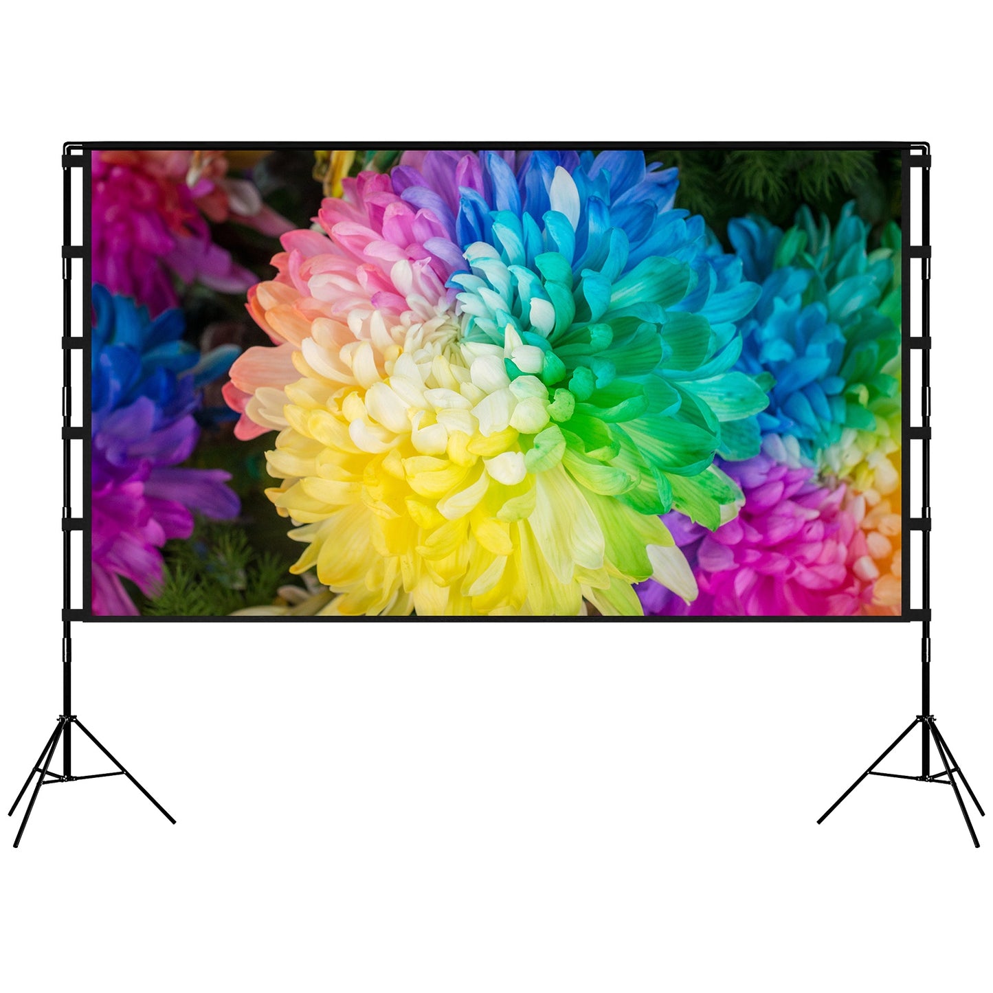100" Projector Screen with Stand - 16:9 4K HD Portable