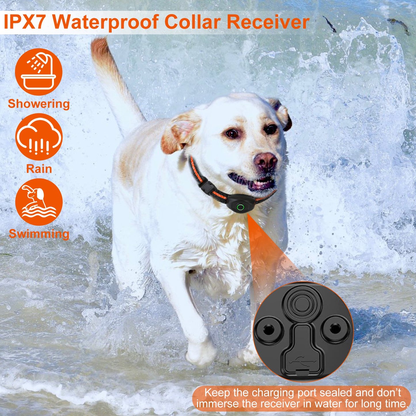 Dog Training Collar with Remote – Waterproof Rechargeable