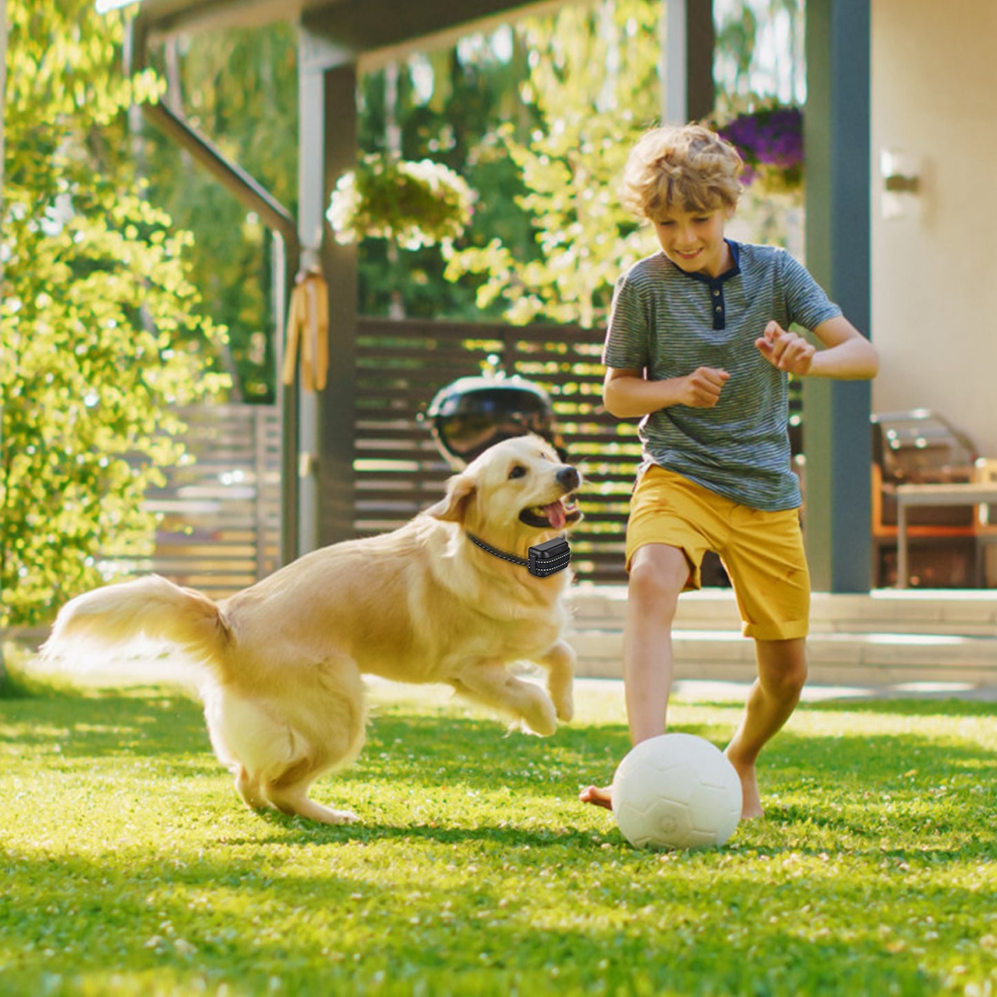 Wireless Dog Fence System with Training Collar – 722FT Range