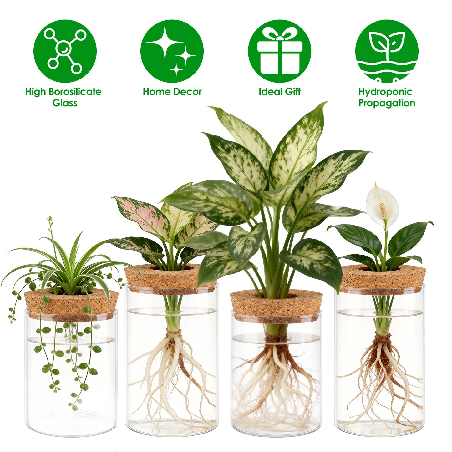 Glass Propagation Stations 4-Pack with Wood Cork Lids