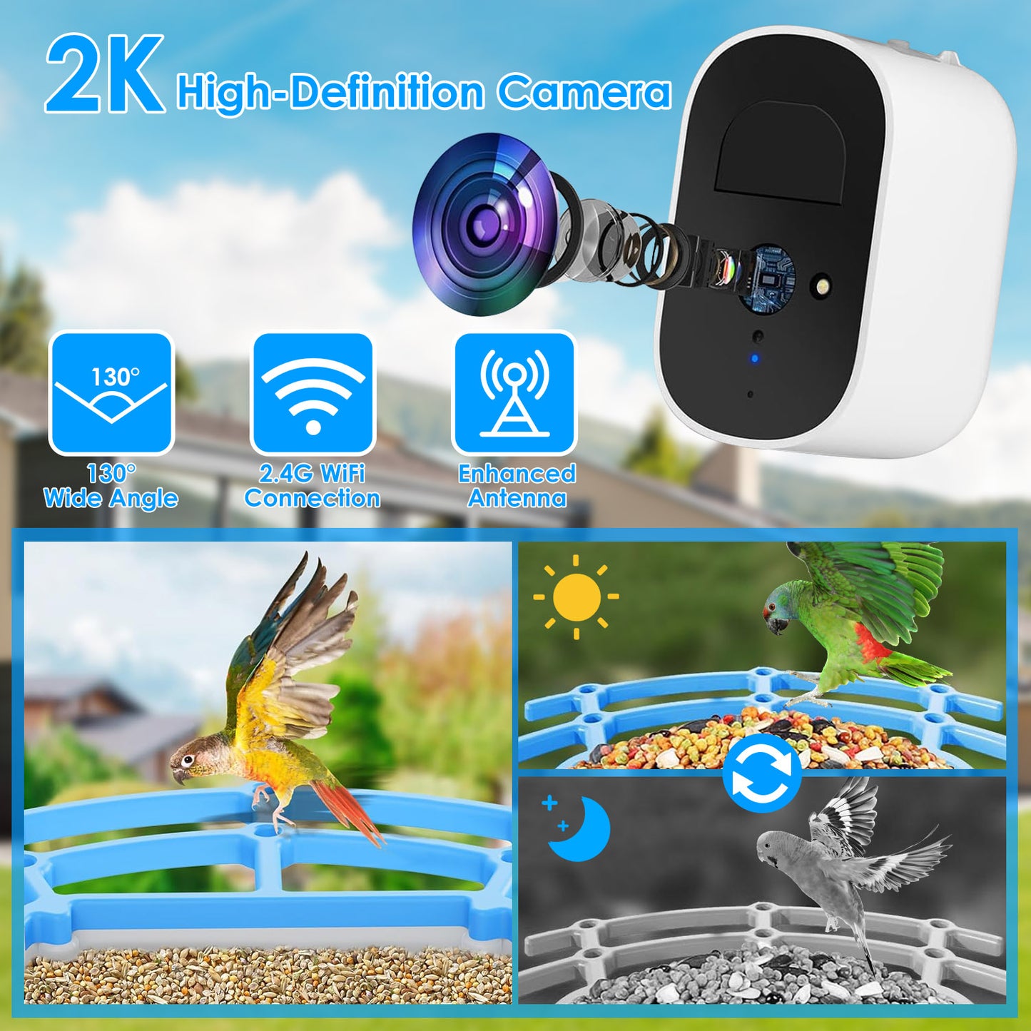 Solar Powered Smart Bird Feeder with 2K Camera & AI Identification
