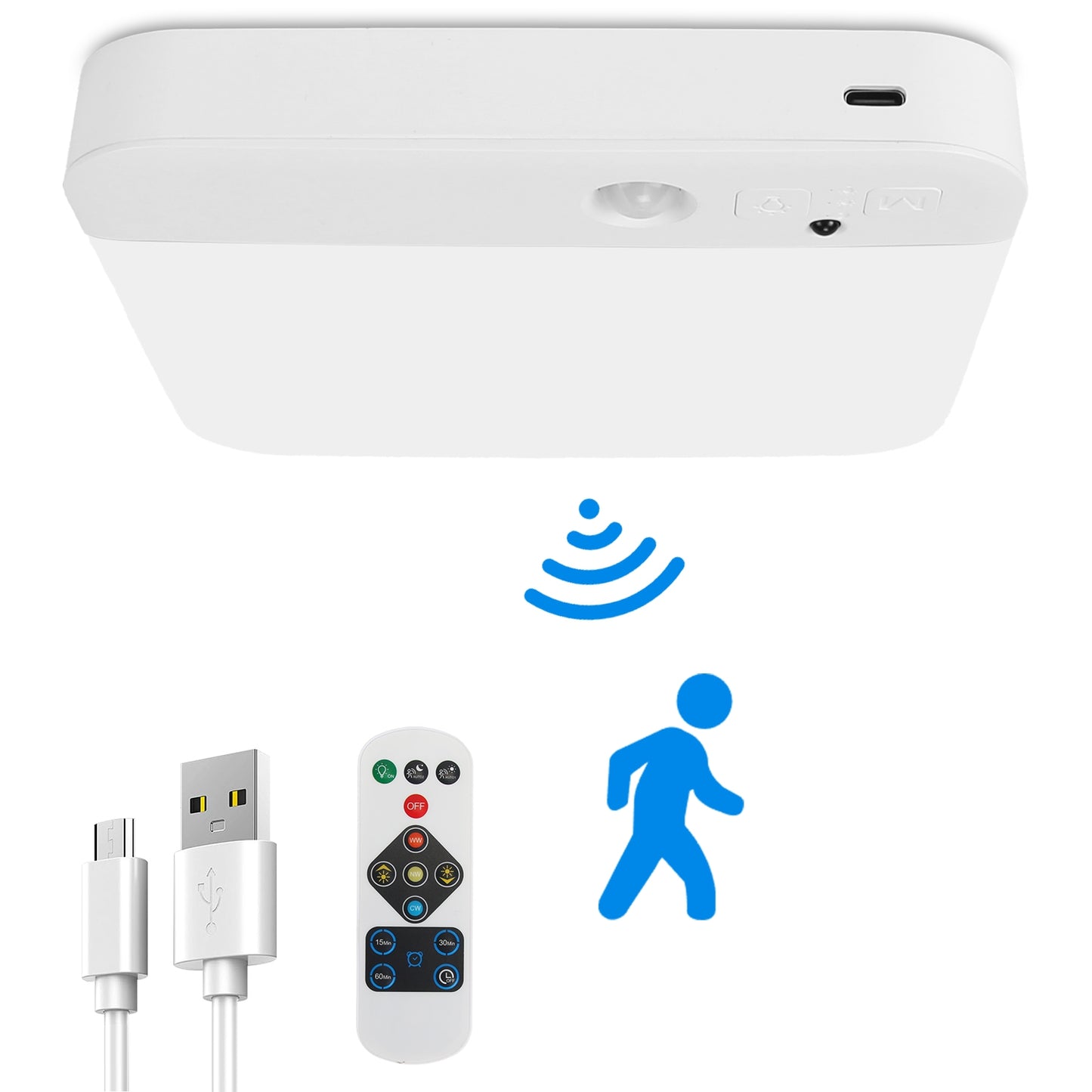 Motion Sensor Ceiling Light with Remote & Rechargeable Battery