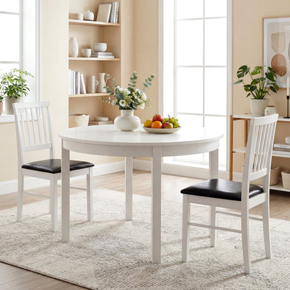 Mid-Century Dining Chairs Set of 2 with Upholstered Cushions