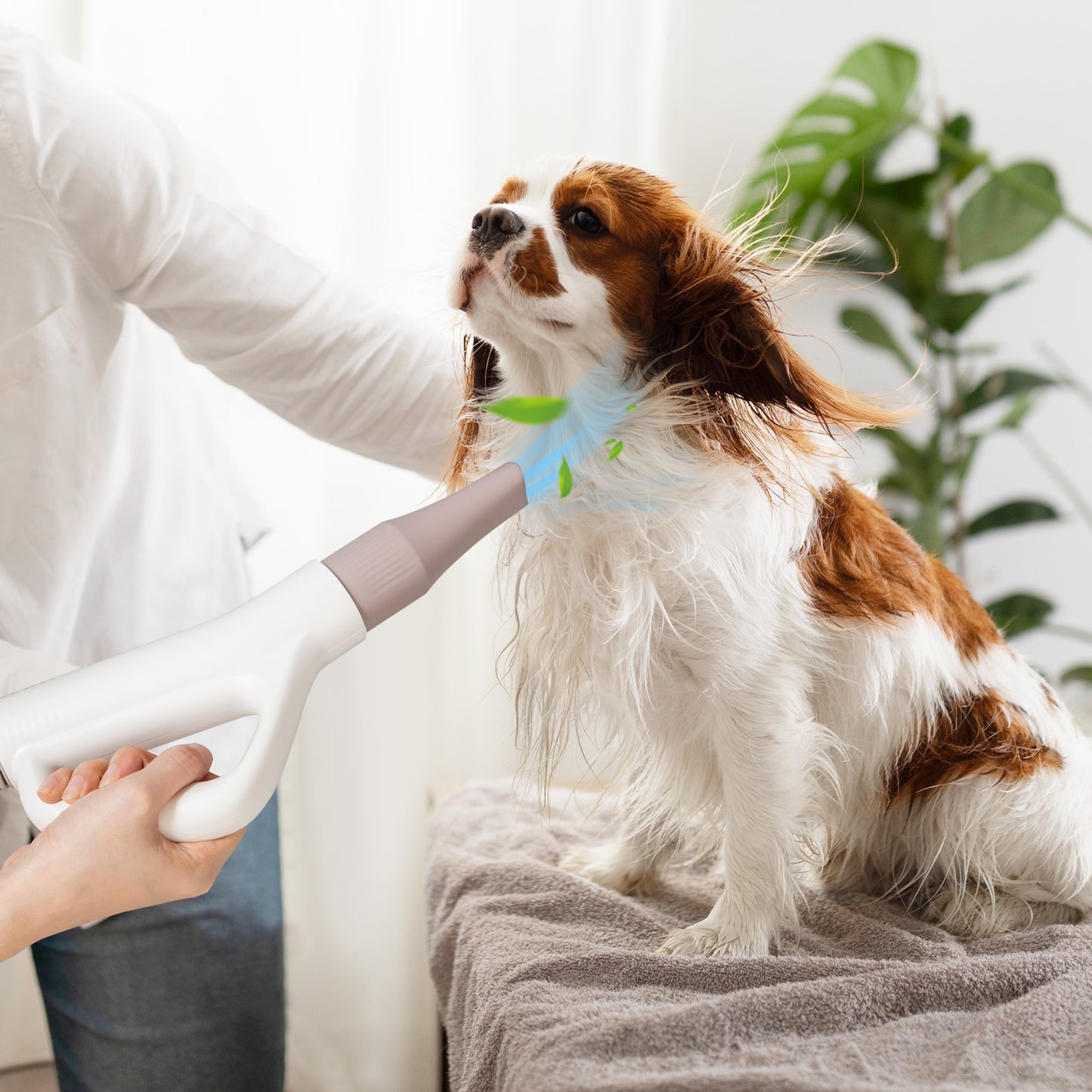 Pet Hair Dryer with Negative Ion Technology & Adjustable Temp