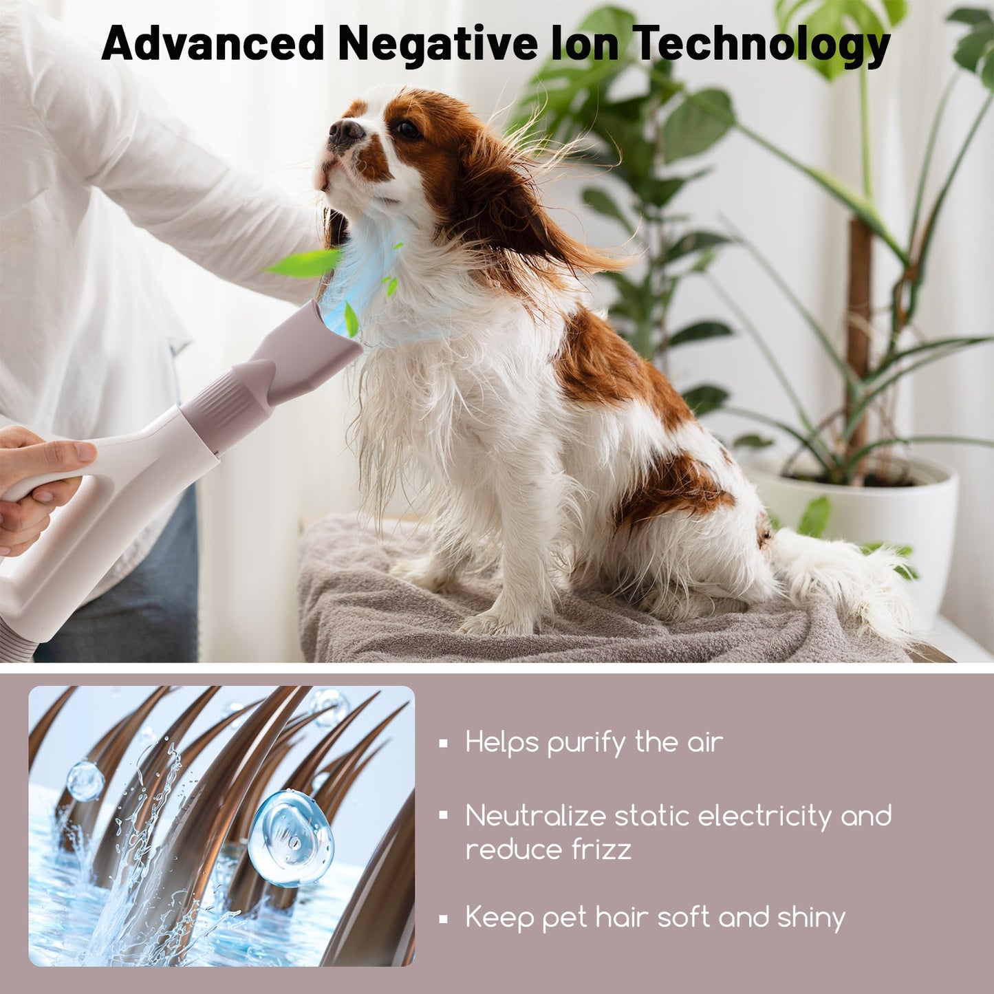 Pet Hair Dryer with Negative Ion Technology & Adjustable Temp