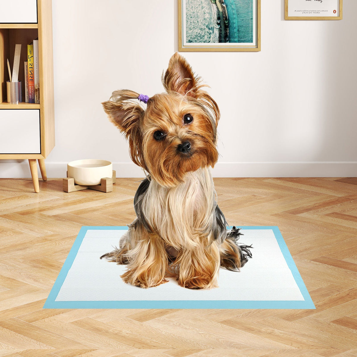 Dog and Puppy Pee Pads 18" x 13" (300 Counts) for Potty Training-Blue