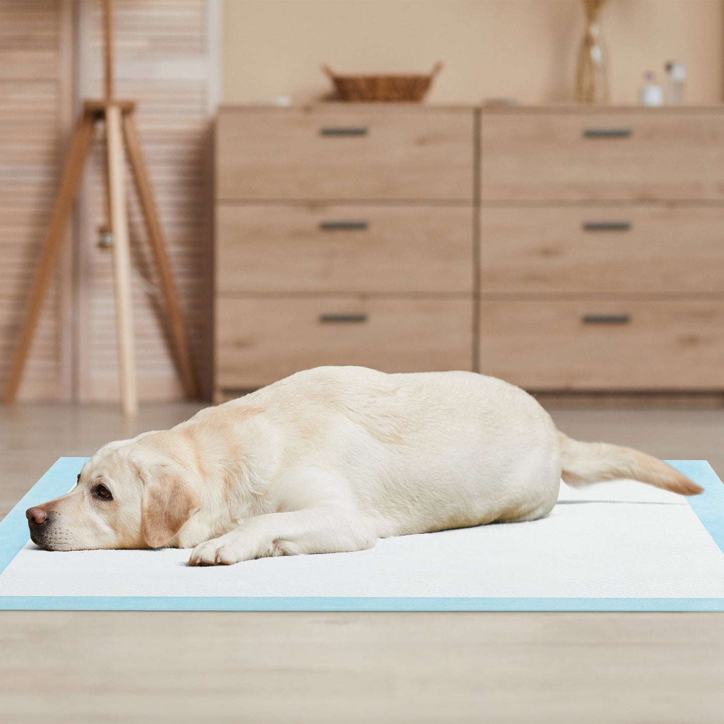 Dog and Puppy Pee Pads 36" x 36" (100 Counts) for Potty Training-Blue