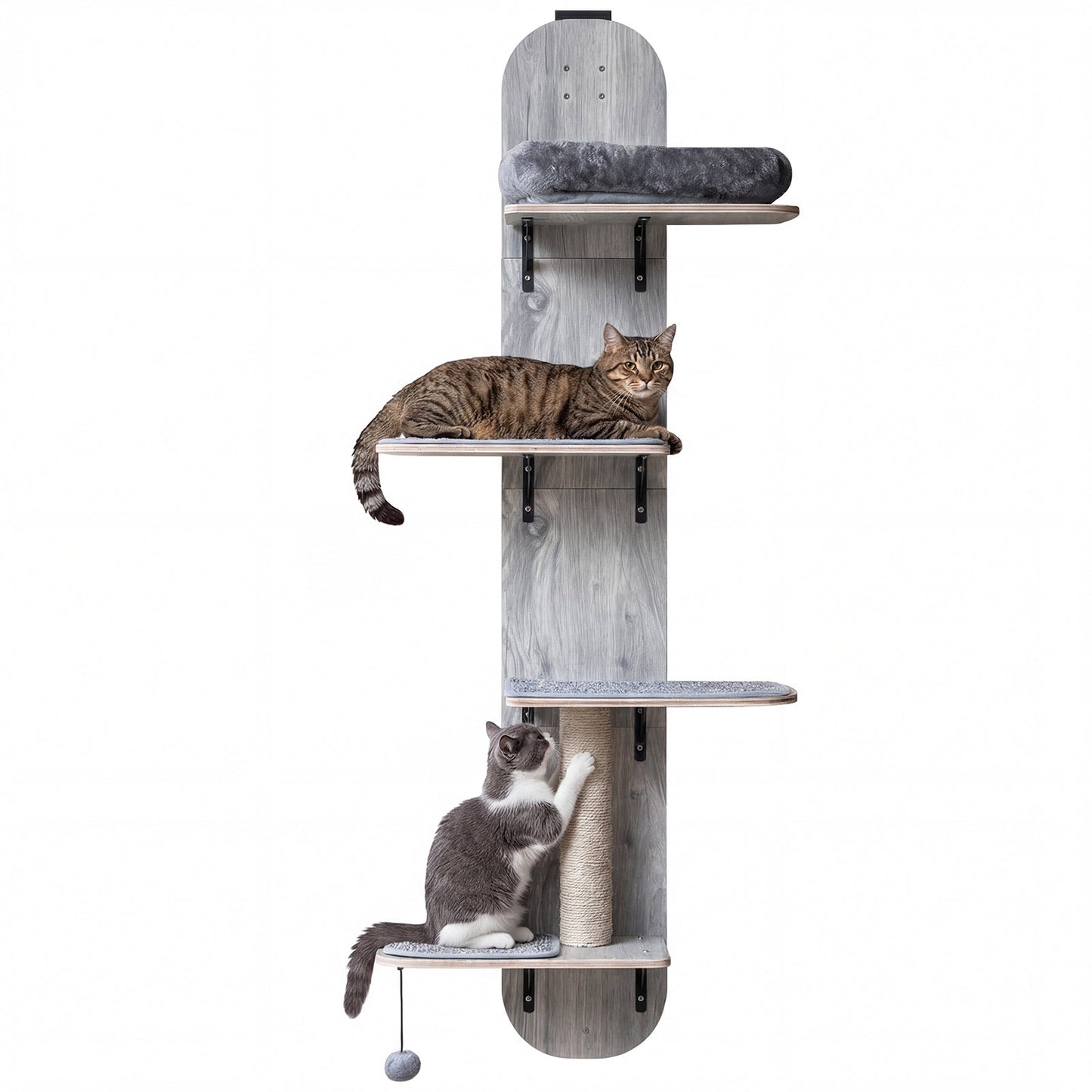 Door Hanging Cat Climber 4-level Height Adjustable with Plush Bed